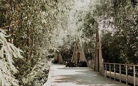 La Petite Motte